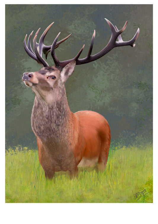 The Highland Monarch